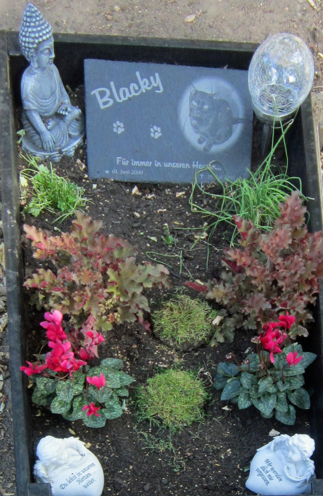 Kater Blackys Grab auf dem Tierfriedhof Frankfurt-Rödelheim